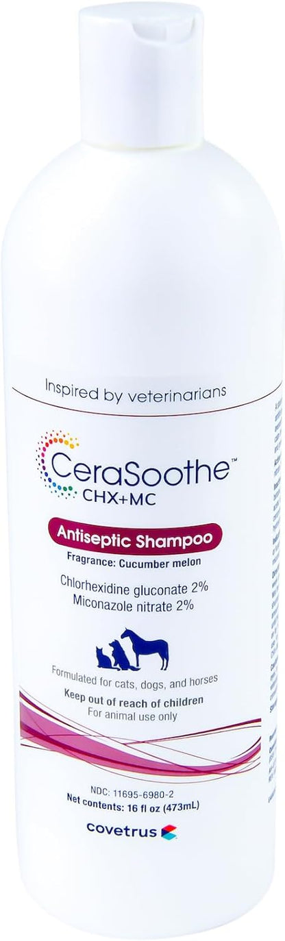 CeraSoothe® CHX+MC Antiseptic Shampoo 16oz