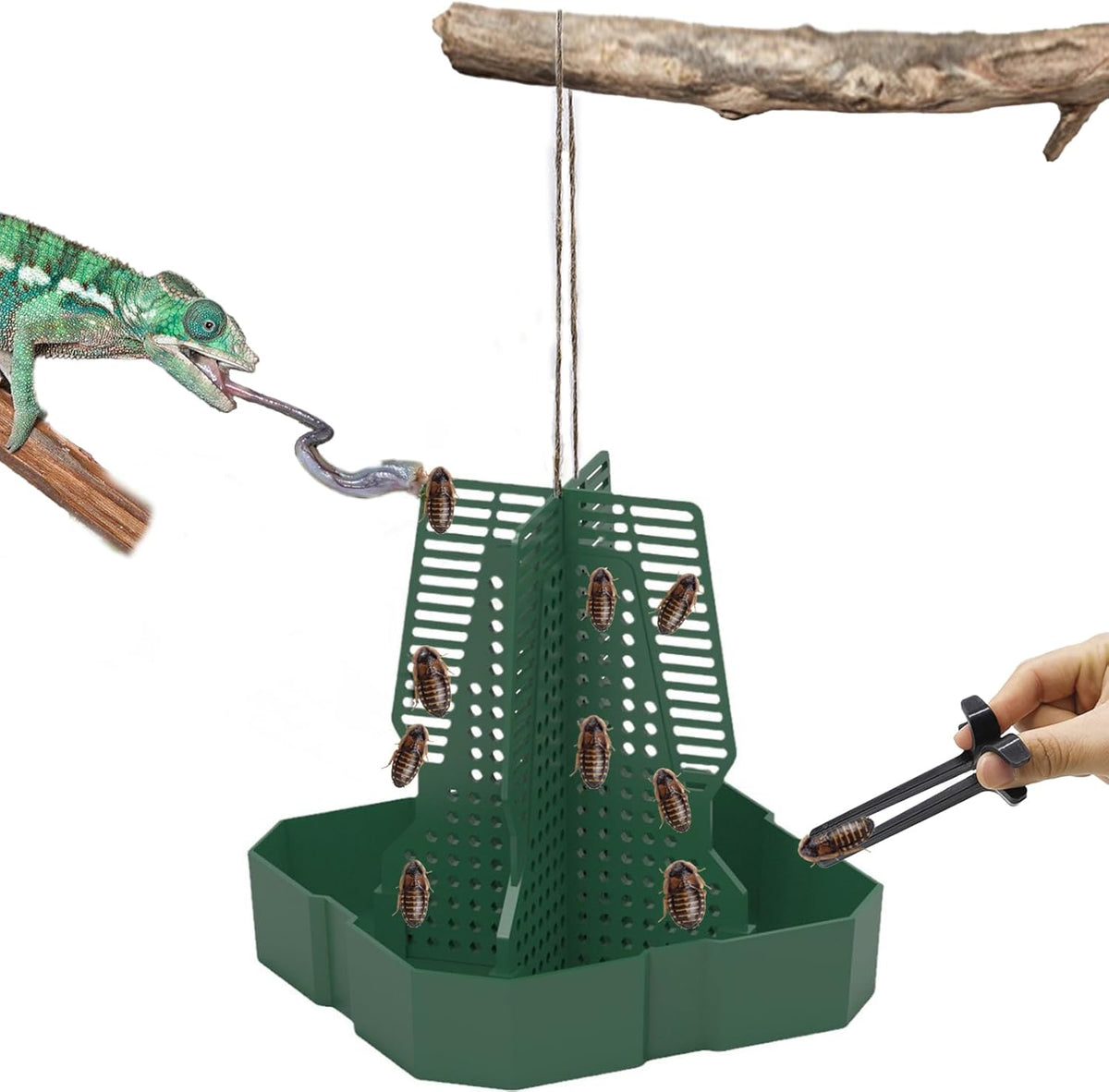 Chameleon Feeder+Bearded Dragon Feeder for Mounted Insect with Rope and Tweezers, Tank and Aquarium