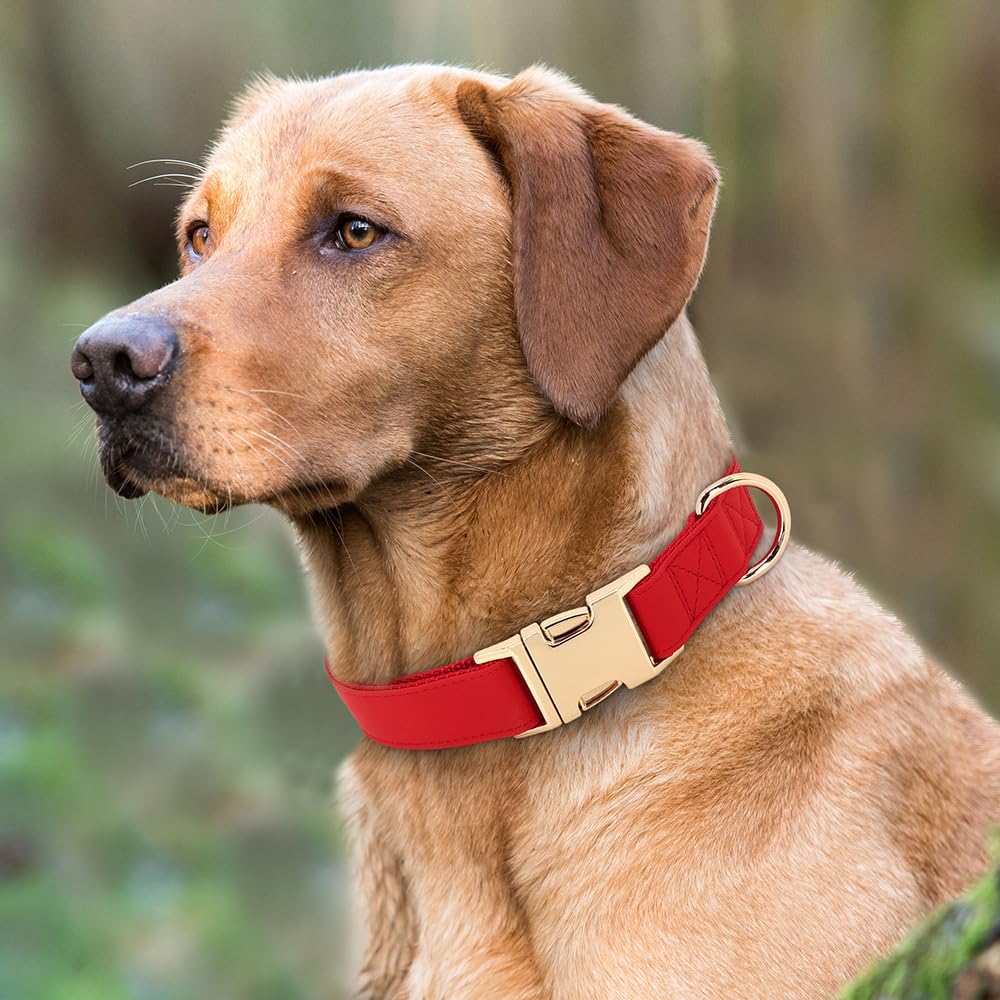 PET ARTIST Soft PU Leather Dog Collar, Bright & Classic Red Dog Collar with Quick Release Rose