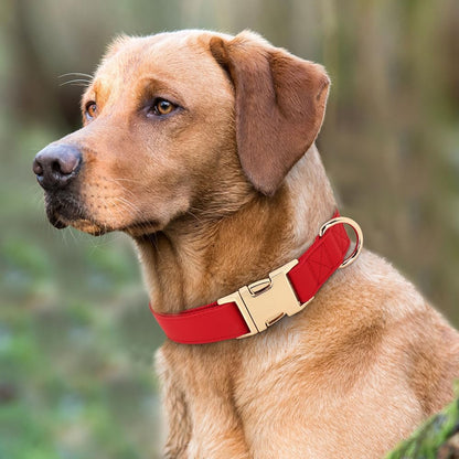 PET ARTIST Soft PU Leather Dog Collar, Bright & Classic Red Dog Collar with Quick Release Rose