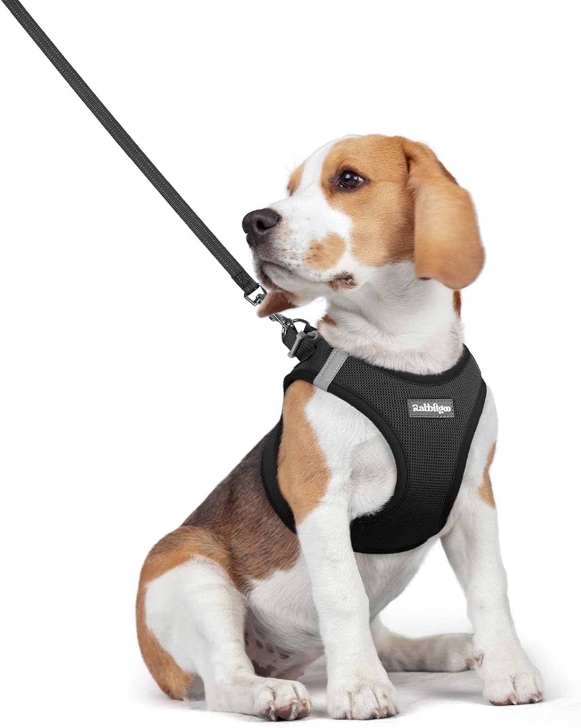 rabbitgoo Dog Harness Small Medium Sized and Leash Set, Step in Soft Light Puppy Vest, Breathable