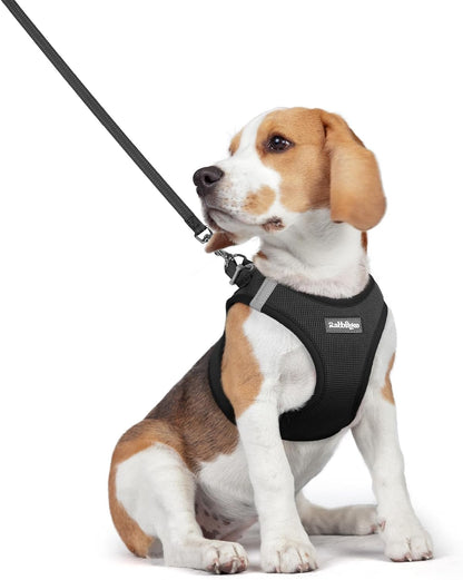 rabbitgoo Dog Harness Small Medium Sized and Leash Set, Step in Soft Light Puppy Vest, Breathable