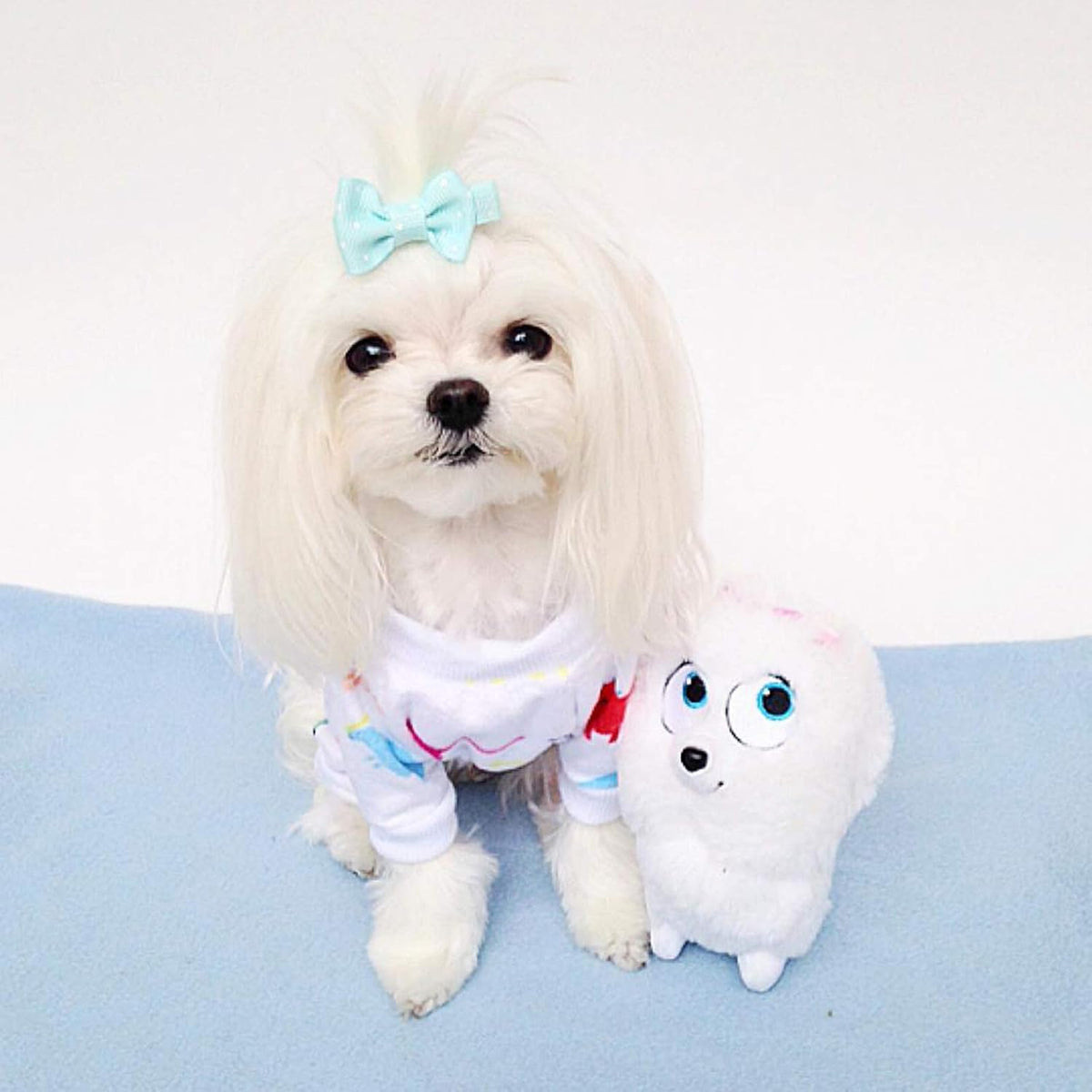 CuteBone Dog Halloween Pajamas Puppy Onesies Small Dogs Soft Pjs Coat Cat Apparel Comfy Pet