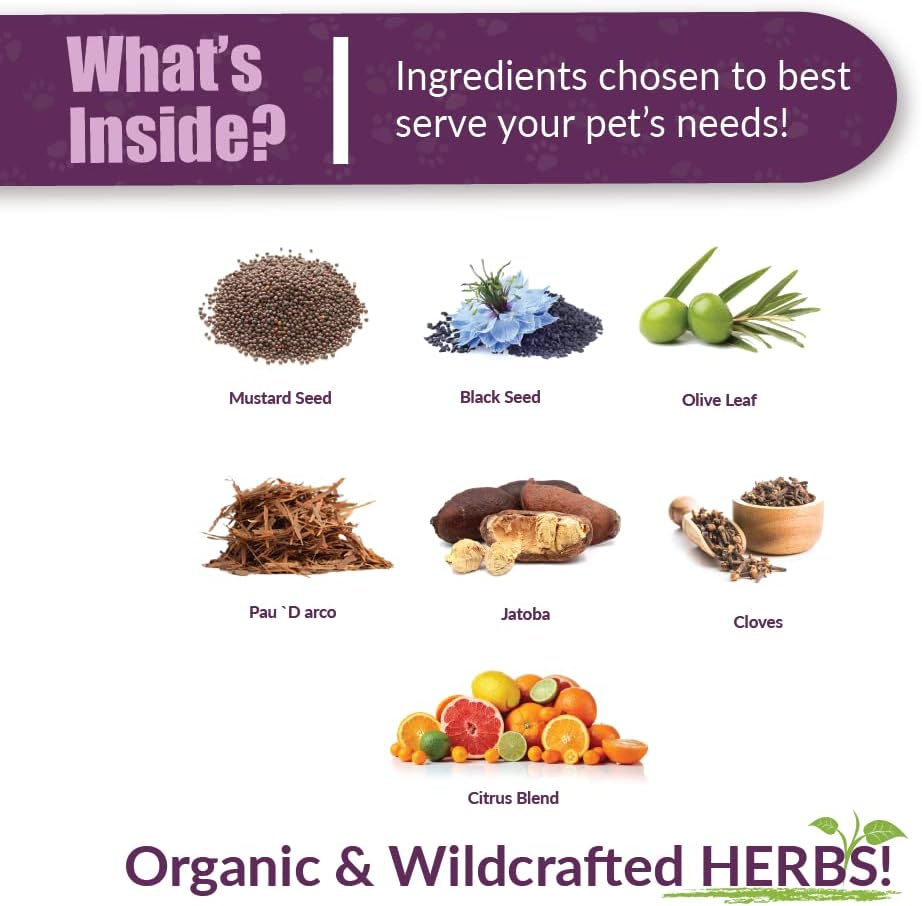 Amber NaturalZ Kochi Free Herbal Supplement for Dogs, Cats, Birds, Rabbits, and Guinea Pigs |