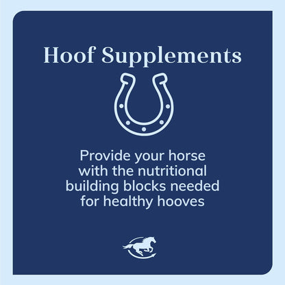 Uckele by SmartEquine LaminOX Powder | Hoof Support for Horses | Supports Healthy Laminae | Horse