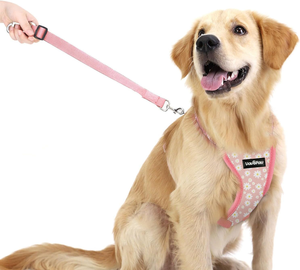Dog Seat Belt, Safety Vest Dog Car Harness with Adjustable Buckle Dog Seat Belt for Vehicle Nylon