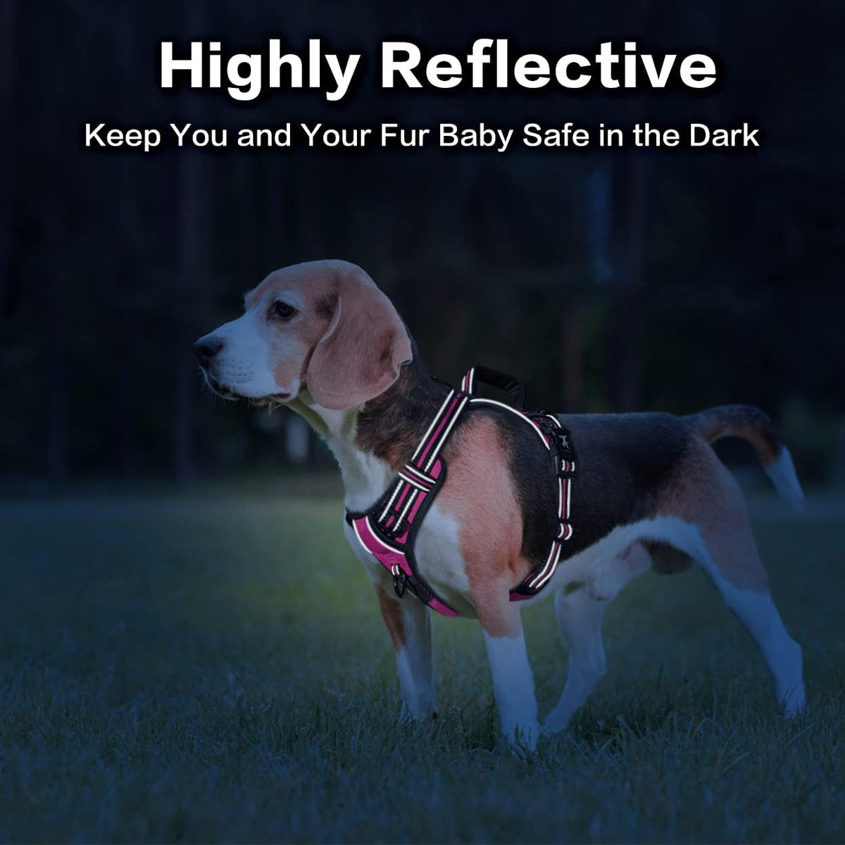 PoyPet No Pull Dog Harness, No Choke Front Clip Reflective Dog Vest with Soft Padded Vertical