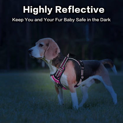 PoyPet No Pull Dog Harness, No Choke Front Clip Reflective Dog Vest with Soft Padded Vertical