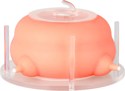 Puppy Feeder for Multiple Puppies, Pet Milk Feeder with Silicone Dog Nursing Station of 4, Puppy