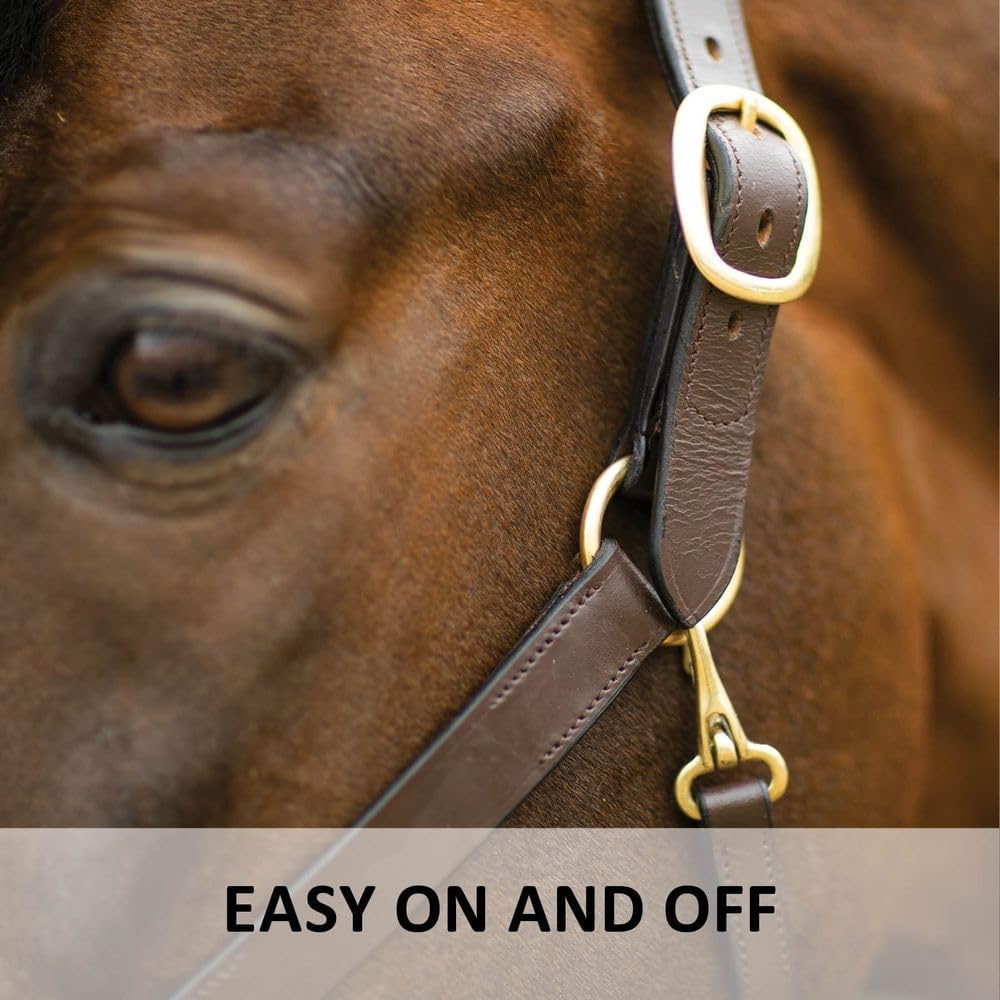 Dura-Tech Premier Lancaster Leather Halter for Horses | Simple Economy Leather Halter with