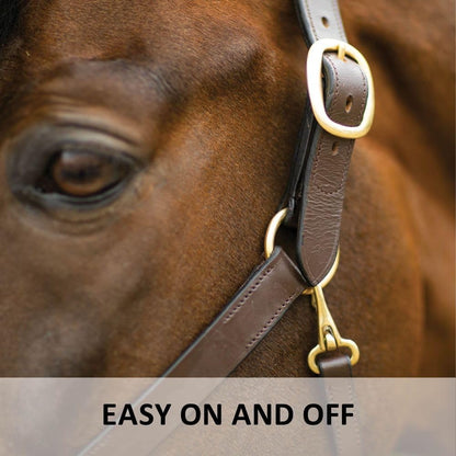 Dura-Tech Premier Lancaster Leather Halter for Horses | Simple Economy Leather Halter with