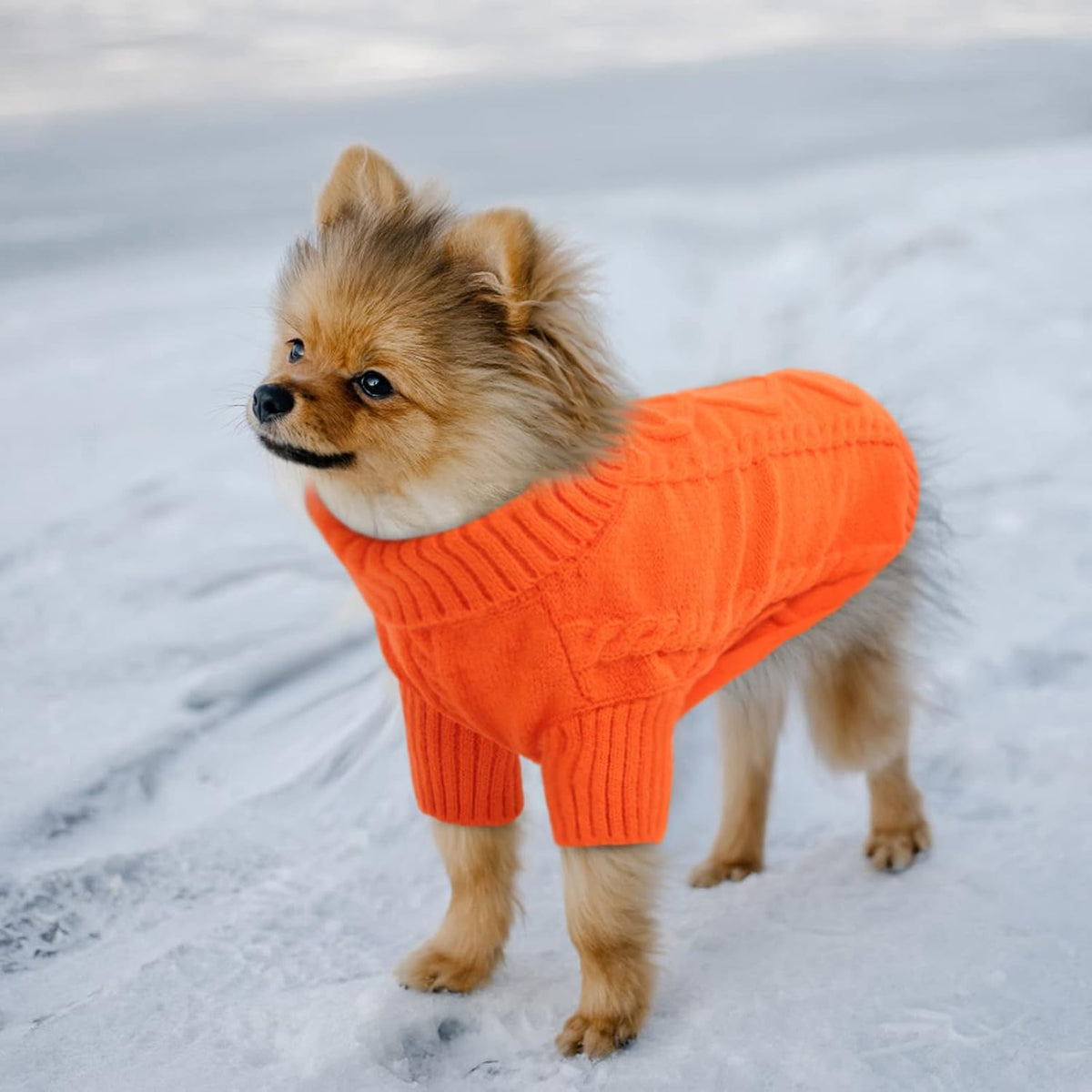 Queenmore Small Dog Pullover Sweater, Cold Weather Cable Knitwear, Classic Turtleneck Thick Warm