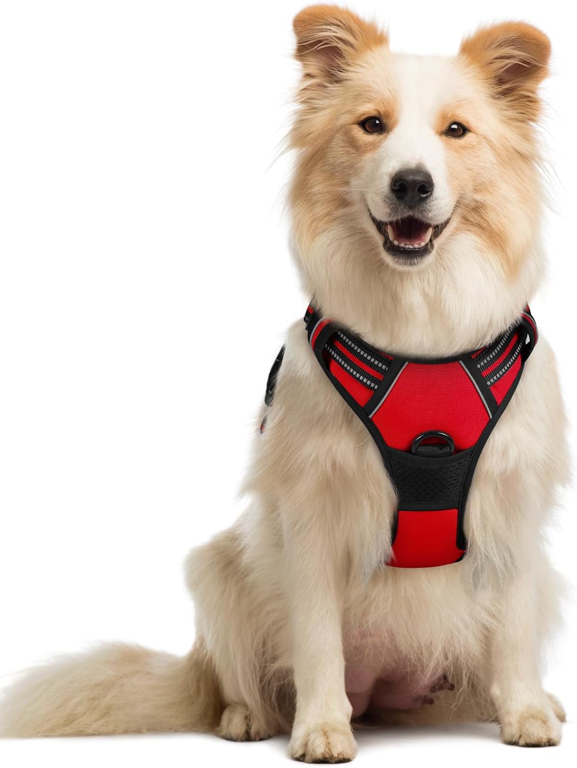 rabbitgoo Dog Harness No Pull with 2 Leash Clips, Adjustable Soft Padded, Reflective Oxford No