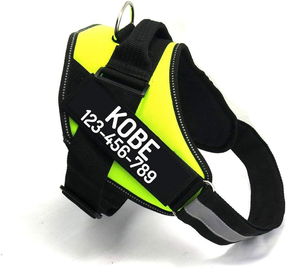 PawPawify Custom No Pull Dog Harness with Name and Phone Number, Heavy Duty Personalized Pet Vest