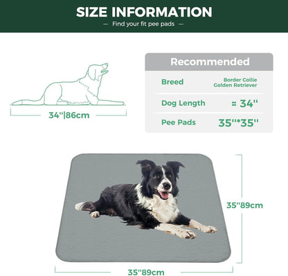 FXW Washable Pee Pads for Dogs, Puppy Pads with Super Absorbent, Specifically Designed for Potty