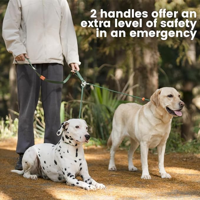 Howgo Double Slip Leash Slip Lead | Dual Dog Lead for 2 Dogs,360° Swivel No Tangle | Dog Training