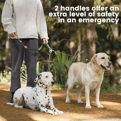 Howgo Double Slip Leash Slip Lead with Two Handles| Dual Dog Slip Lead for 2 Dogs,360° Swivel No