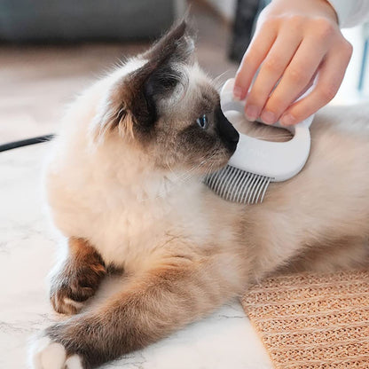 Leo's Paw The Original Pet Hair Removal Massaging Shell Comb Soft Deshedding Brush Grooming and