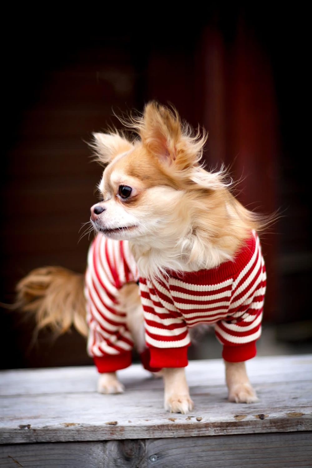 Fitwarm Red and White Striped Dog Pajamas, Waffle Dog Clothes for Small Dogs Girl Boy, Puppy Onesie