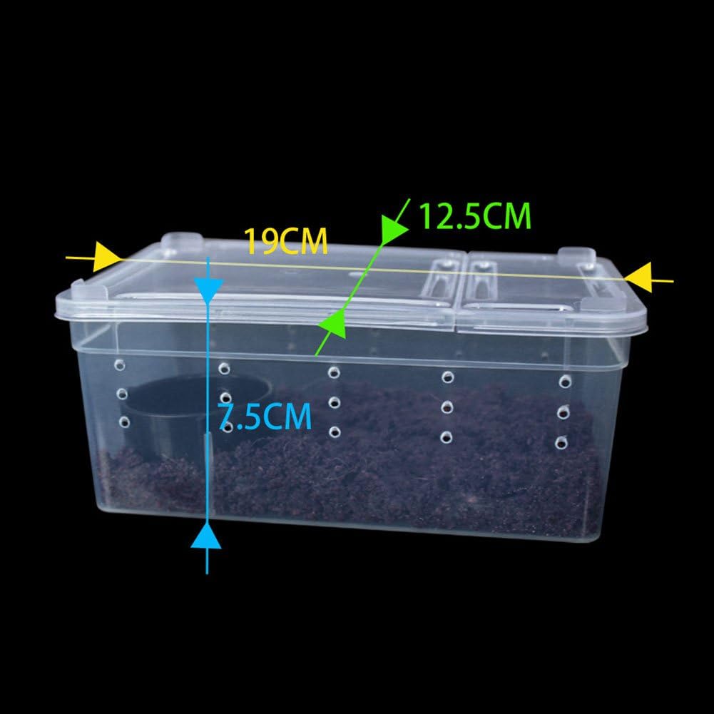 OMEM Portable Reptile Terrarium Habitat for Mini Pet Houses Breathable Holes Stackable Container