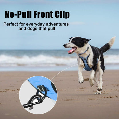 PoyPet No Pull Dog Harness, Reflective Comfortable Vest Harness with Front & Back 2 Leash