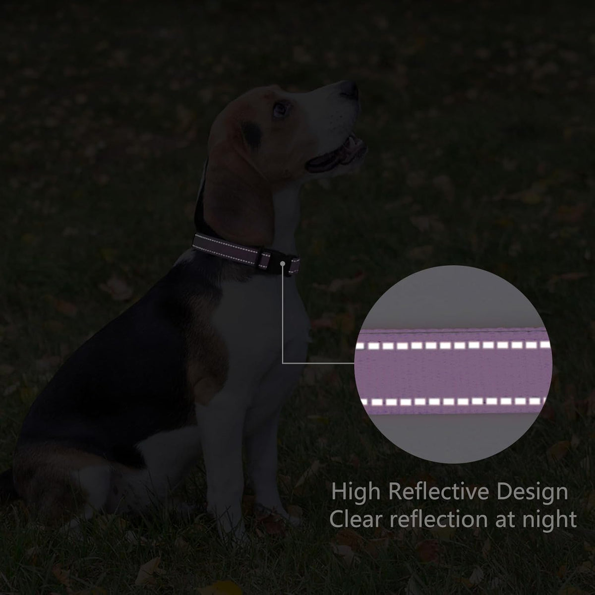Reflective Dog Collar Padded with Soft Neoprene Breathable Quick Release Basic Dog Collars for