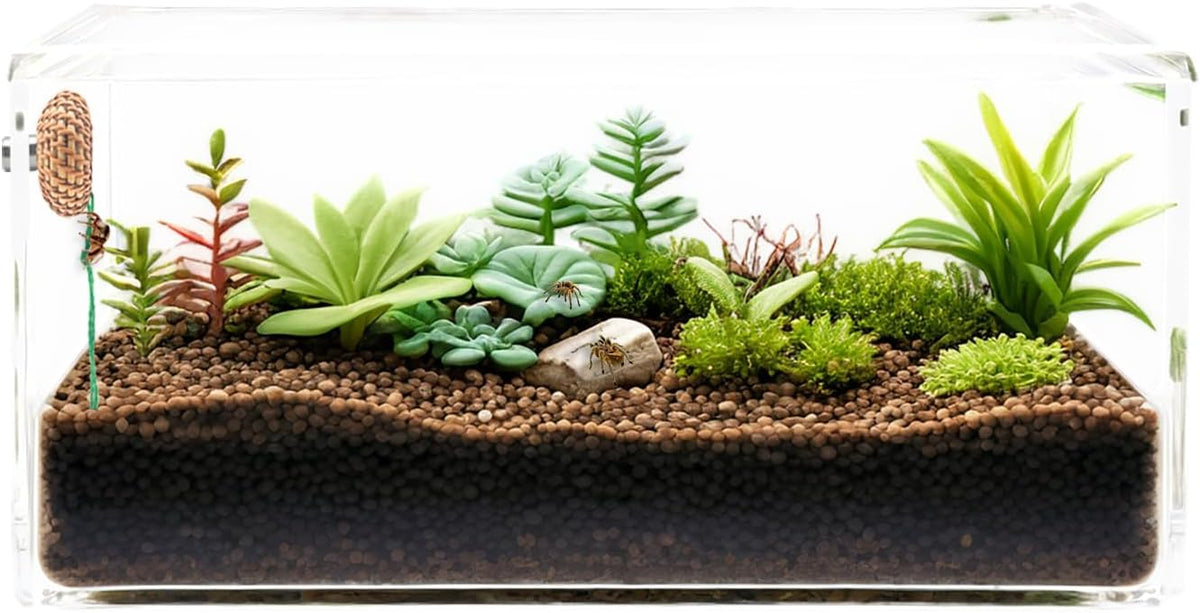 1 Pcs Jumping Spider Accessories，Shelter Made of Cane, Essential for Jumping Spider Hide