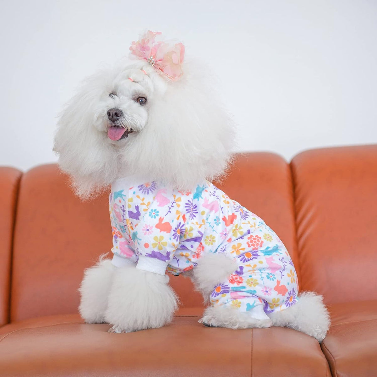 CuteBone Small Dogs Outfit Soft Puppy Onesies Pjs Dog Easter Rabbit Pajamas Pet Coat Cat Apparel
