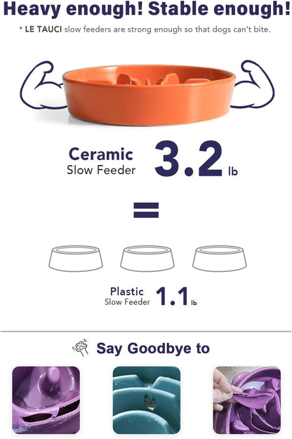 LE TAUCI Dog Bowls Slow Feeder Ceramic, 1.5 Cups Slow Feeding Dog Bowl Small Medium Breed, Puppy