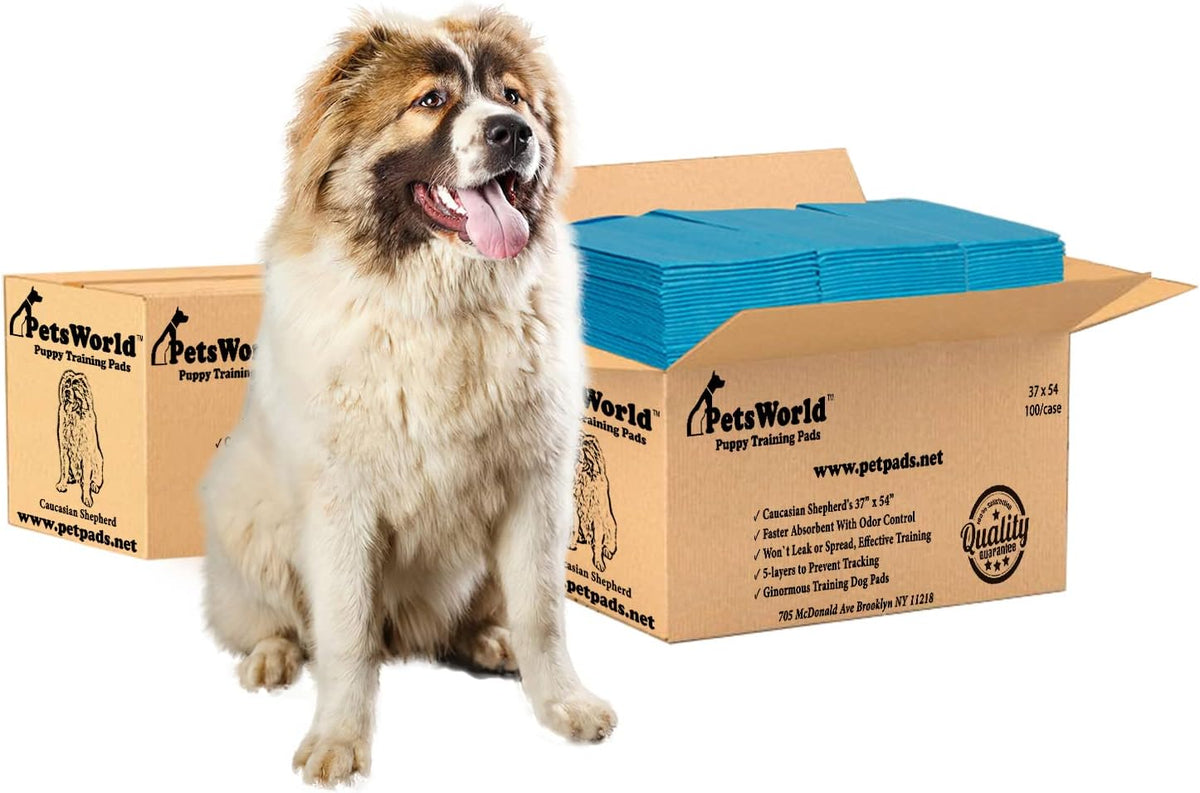 PETSWORLD Enormous Dog Training & Potty Pads, 37x54 inch - Tear Resistant with Strong Leak-Proof