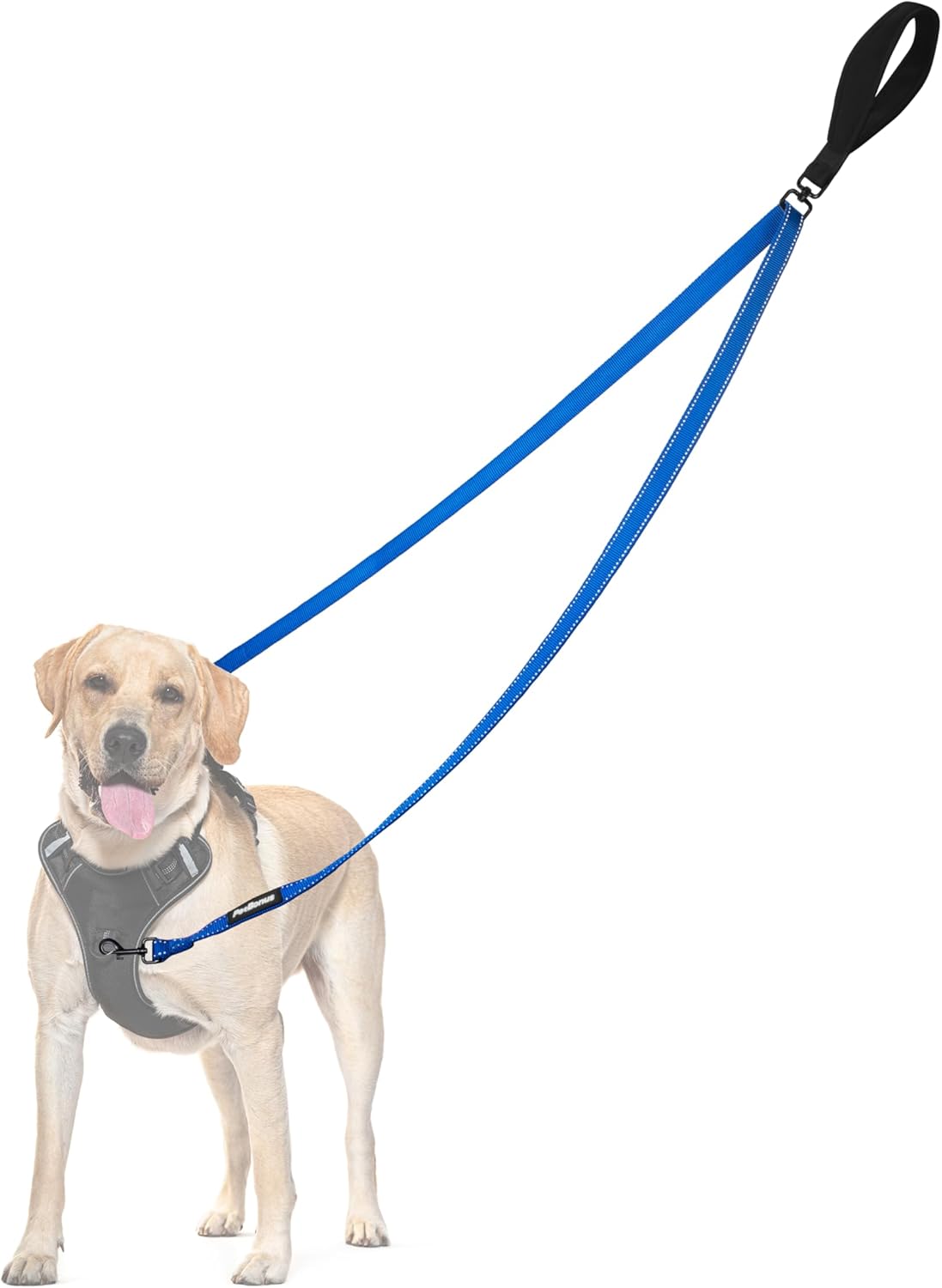 PetBonus Two Point Control Dog Leash, Works with No Pull Harnesses, No Tangle Dog Training Leashes