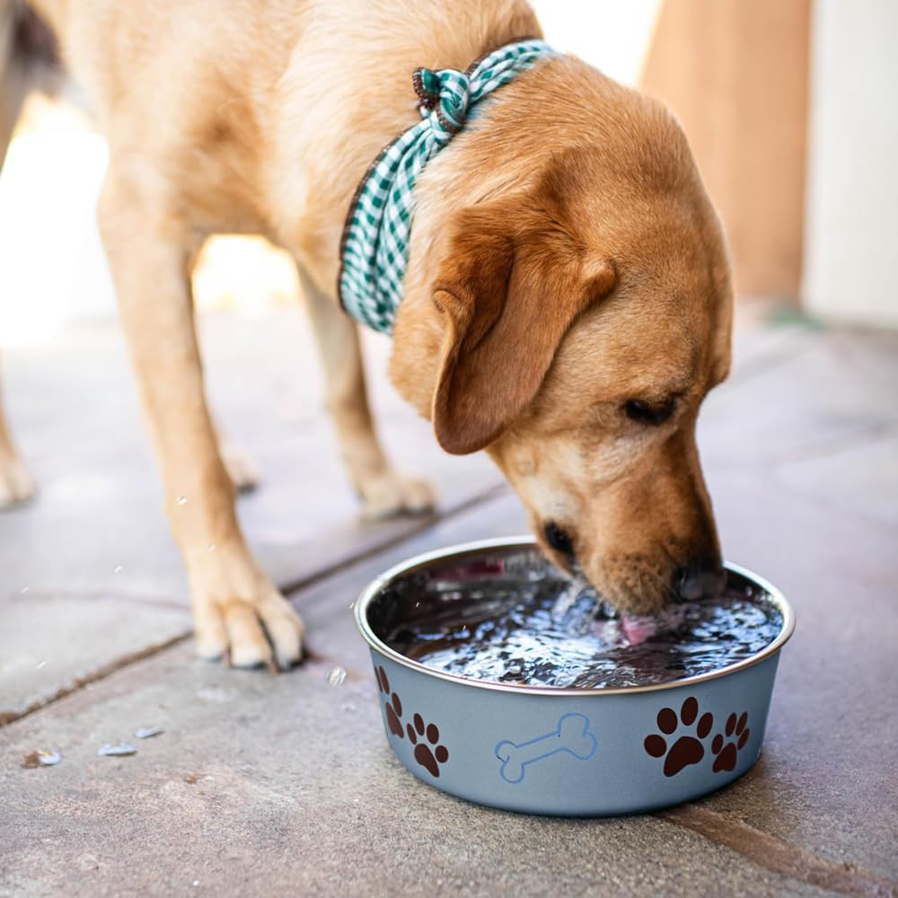 Loving Pets - Bella Bowls - Dog Food Water Bowl No Tip Stainless Steel Pet Bowl No Skid Spill Proof
