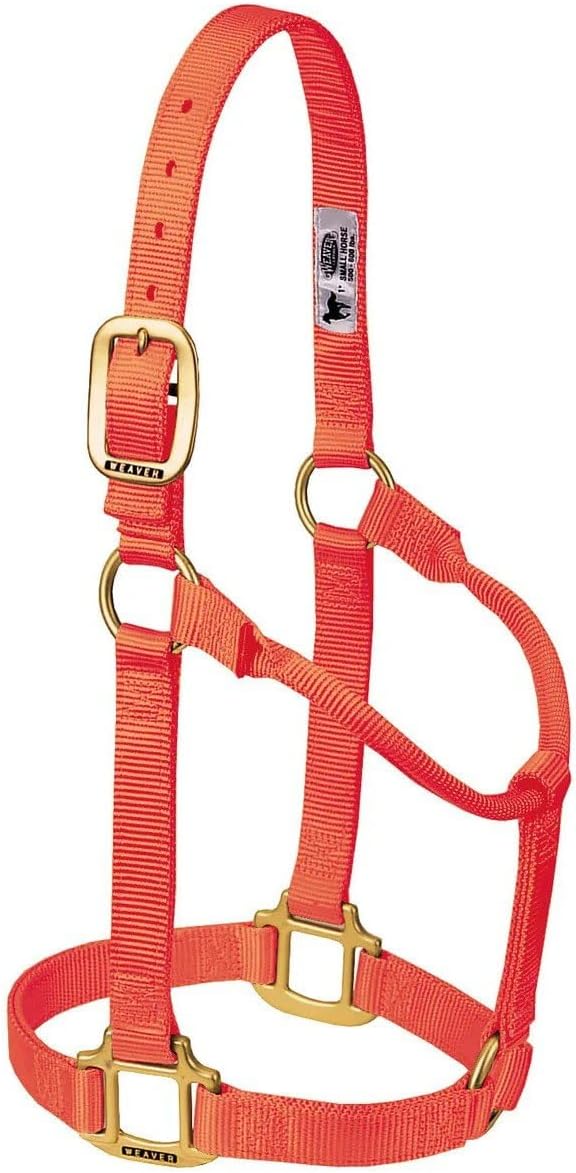 Weaver Equine Nylon Horse Halter, Triple-Ply Cheek Design, Original Non Adjustable Halters for