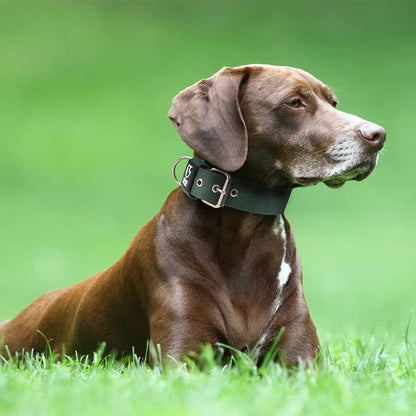 TSPRO Tactical Dog Collar 1.25 Inch Wide Thick Dog Collars with Heavy Duty Metal Buckle, Durable