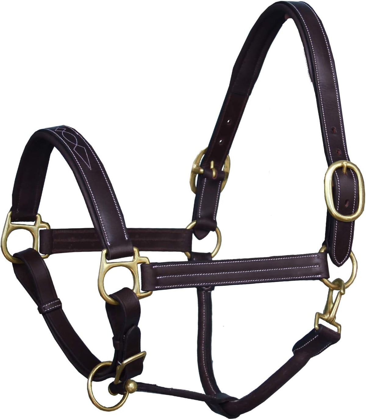 Exion Leather Horse Halter with Fancy Stitching | Black & Brown Padded Halter with Brass Hardware |