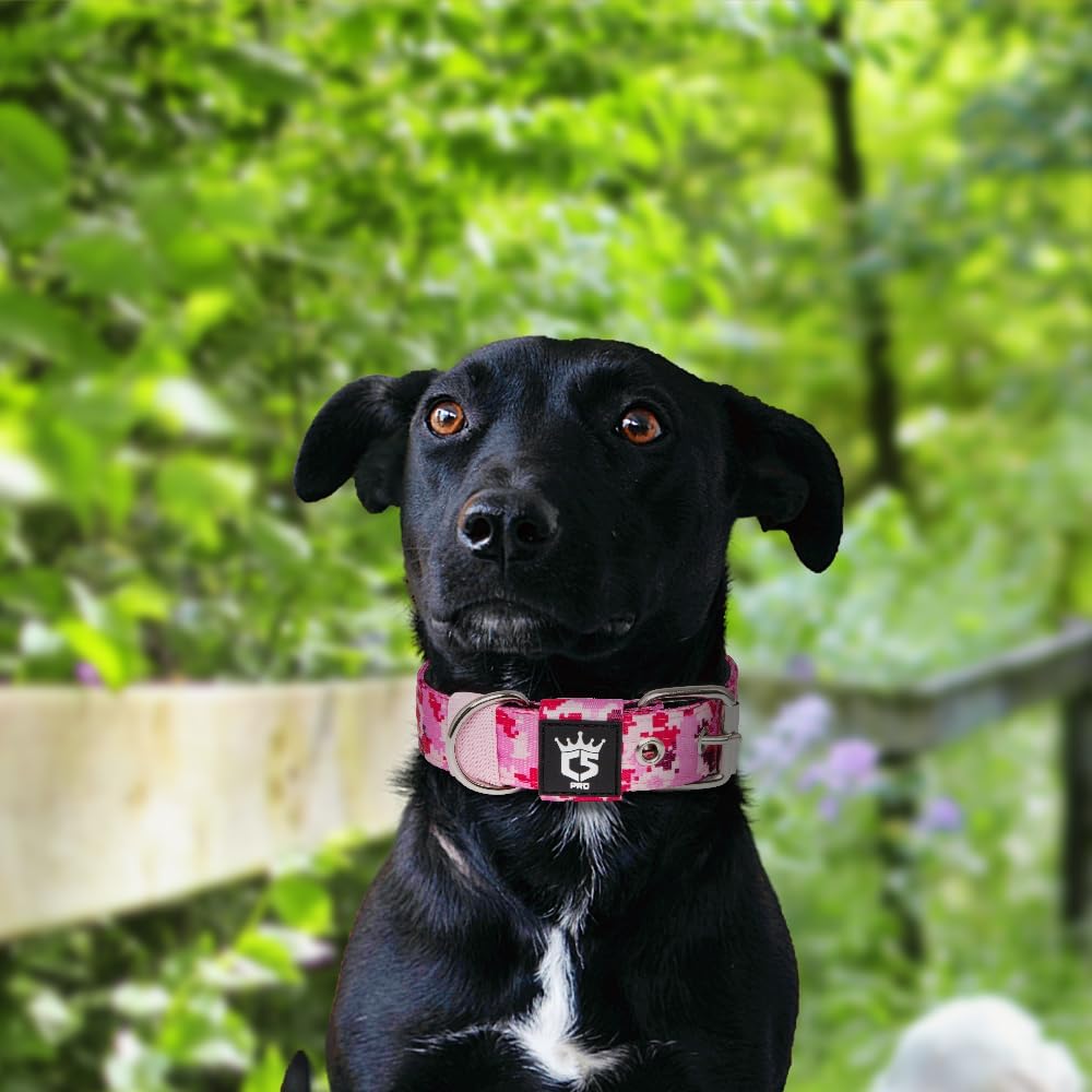 TSPRO Tactical Dog Collar 1.25 Inch Wide Thick Dog Collars with Heavy Duty Metal Buckle, Durable