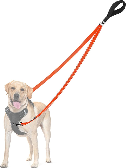 PetBonus Two Point Control Dog Leash, Works with No Pull Harnesses, No Tangle Training Leashes