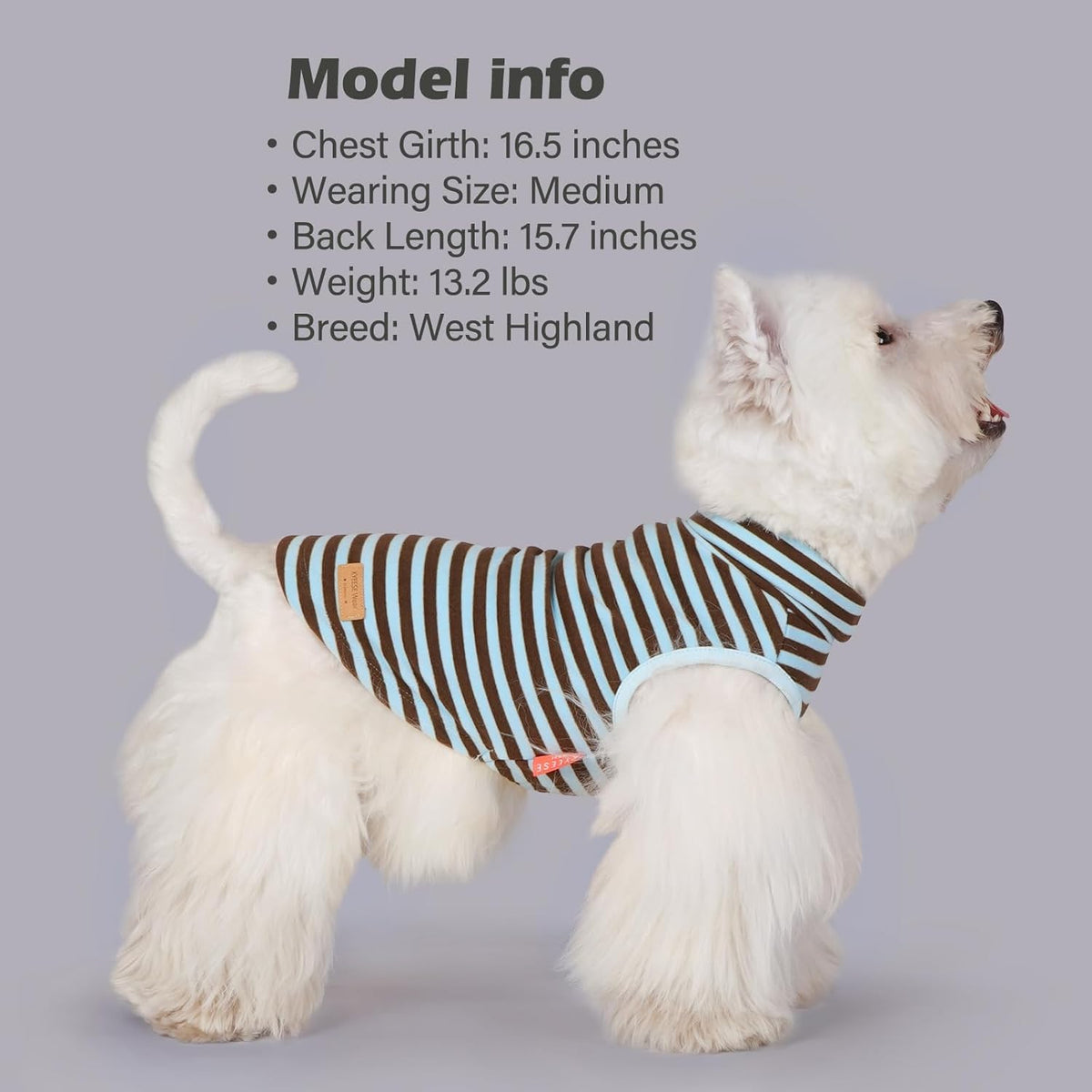 KYEESE 2Pack Dog Sweater Stretchy Dogs Clothes Soft Dachshund Clothes Turtleneck Small Pet Sweaters