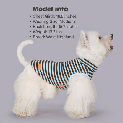 KYEESE 2Pack Dog Sweater Stretchy Dogs Clothes Soft Dachshund Clothes Turtleneck Small Pet Sweaters
