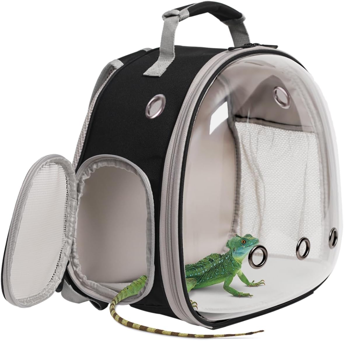 Small Animal Travel Carrier Backpack Design for Guinea Pig,Portable Bearded Dragon Bag for Sugar
