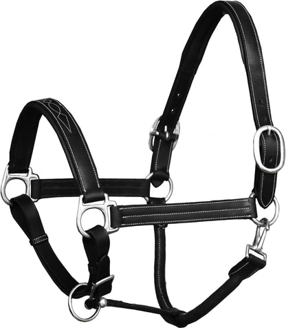 Exion Leather Horse Halter with Fancy Stitching | Black & Brown Padded Halter with Silver Brass
