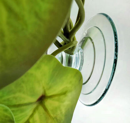Reptile Plants for Terrarium Decor, Amphibian Habitat Decor, Snake Tank Accessories, Artificial