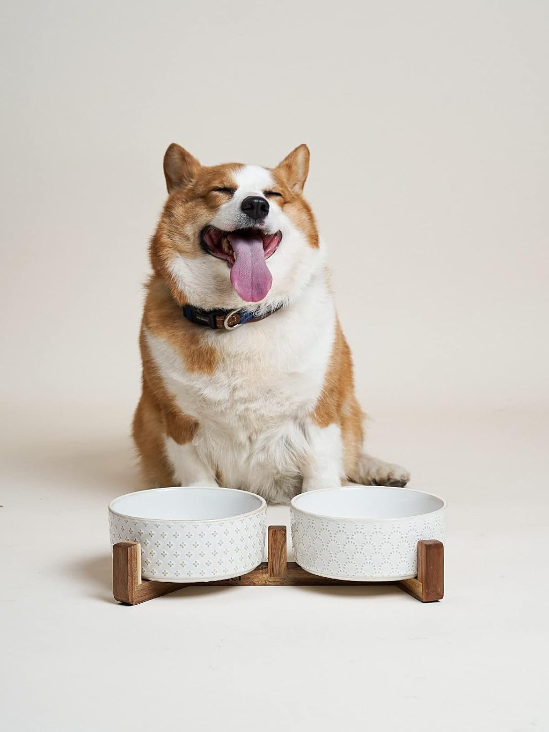 LE TAUCI Dog Bowl Set with Acacia Wood Stand - 1.5-Cup Ceramic Puppy Bowls for Small Dogs, Dual