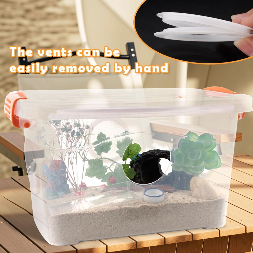 Reptile Feeding Box Snake Plastic Transparent Breeding Box Hatching Container for Small Reptile