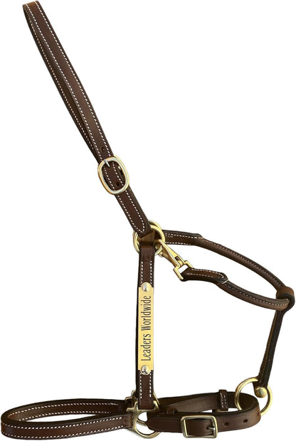Leaders 3/4" Leather Halter for Horses with Customized Engraved Name Plate Brown Leather with Solid