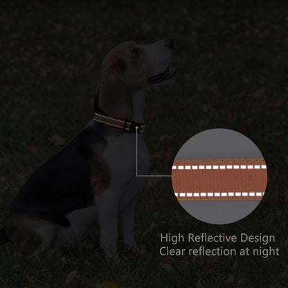 Reflective Dog Collar Padded with Soft Neoprene Breathable Quick Release Basic Dog Collars for