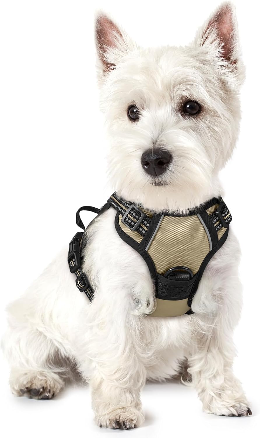 rabbitgoo Dog Harness No Pull with 2 Leash Clips, Adjustable Soft Padded, Reflective Oxford No