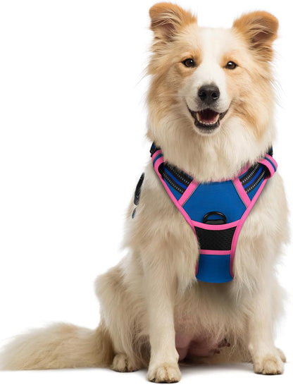 rabbitgoo Dog Harness No Pull with 2 Leash Clips, Adjustable Soft Padded, Reflective Oxford No