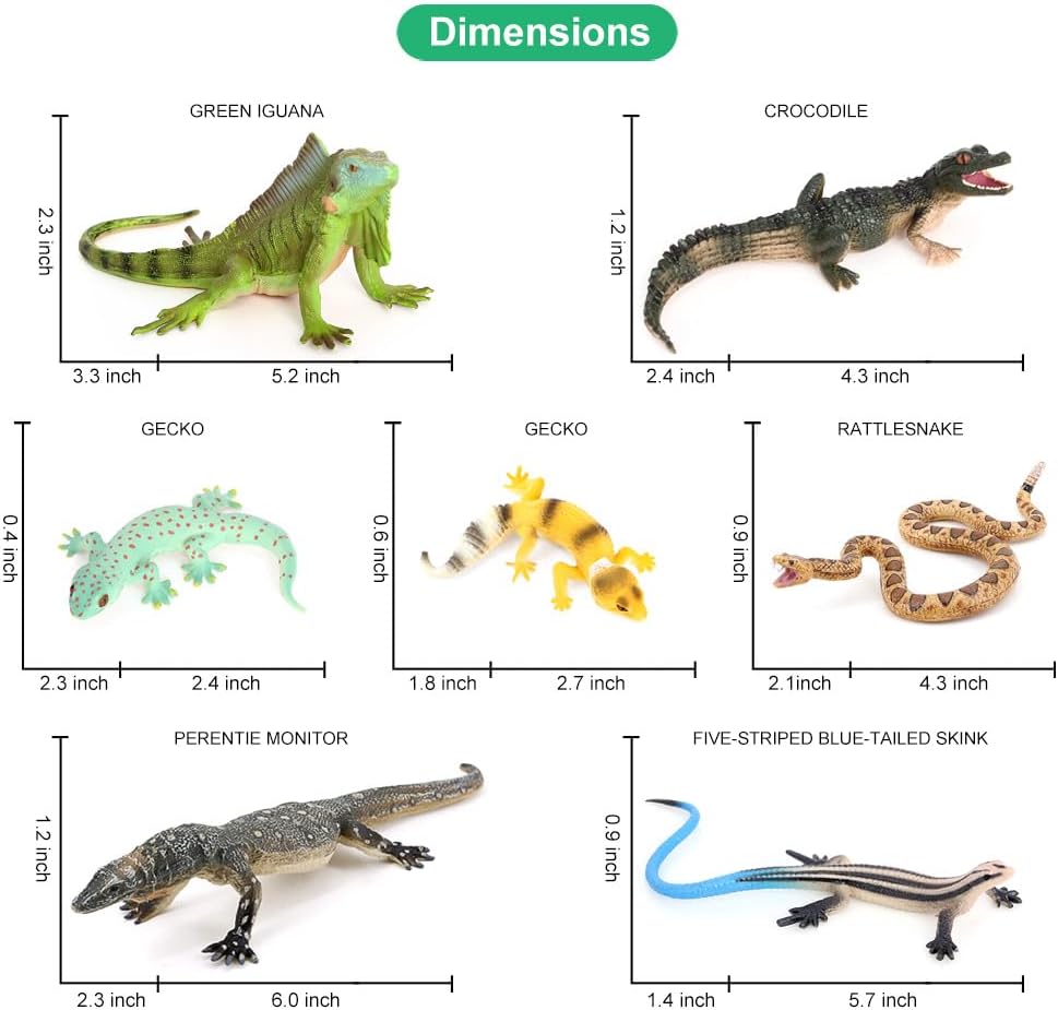 Volnau Animal Figurines Snake Toys 11PCS Reptile Figures Cold Blooded Amphibians Lizard Zoo Pack