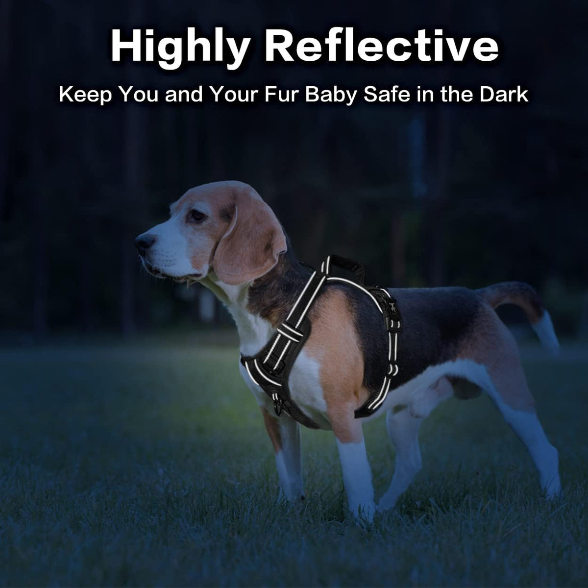 PoyPet No Pull Dog Harness, No Choke Front Clip Reflective Dog Vest with Soft Padded Vertical